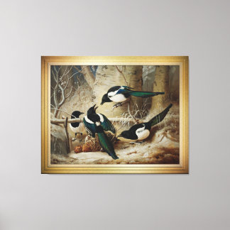 Magpies Round A Dead Female Capercaillie Canvas Print