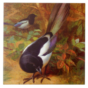 Magpies Tile