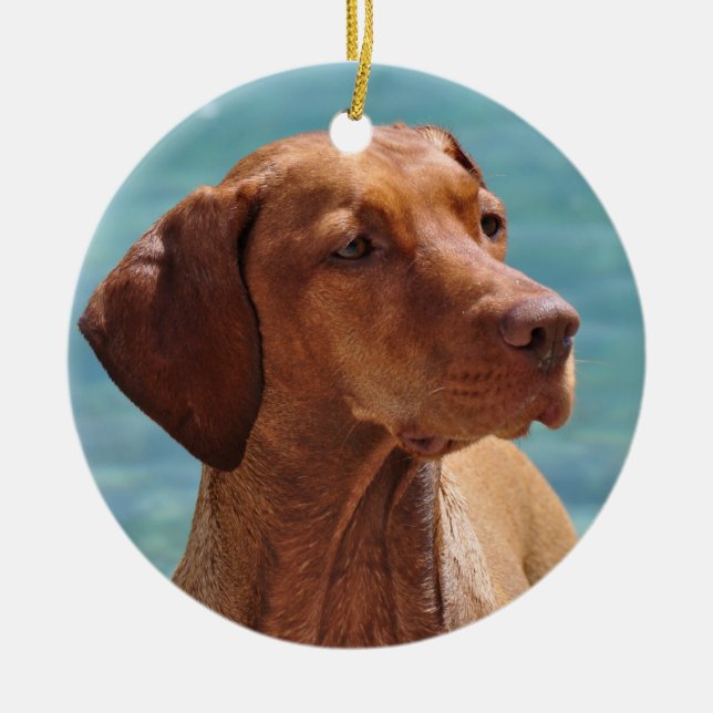 Magyar Vizsla Dog Ceramic Tree Decoration (Front)