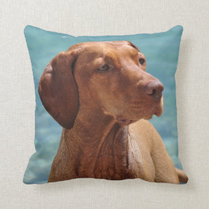 Magyar Vizsla Dog Cushion
