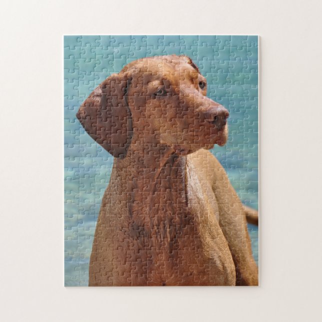 Magyar Vizsla Dog Jigsaw Puzzle (Vertical)