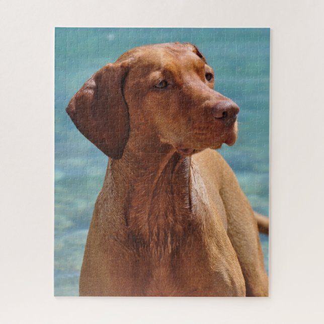 Magyar Vizsla Dog Jigsaw Puzzle (Vertical)