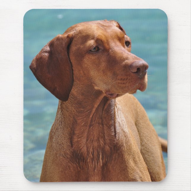 Magyar Vizsla Dog Mouse Mat (Front)