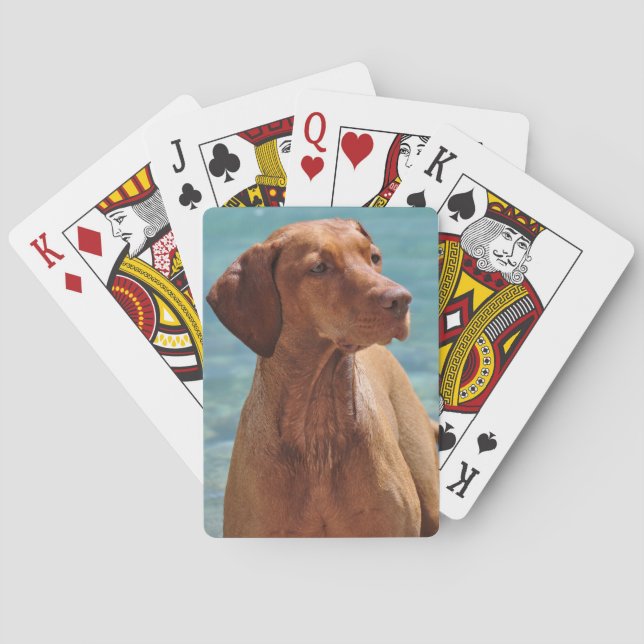 Magyar Vizsla Dog Playing Cards (Back)
