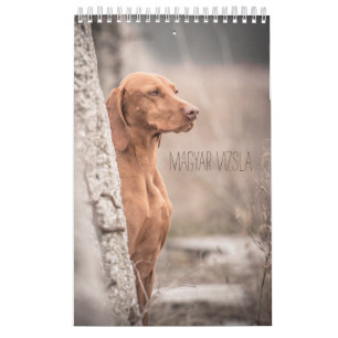 Magyar Vizsla Dogs Calendar