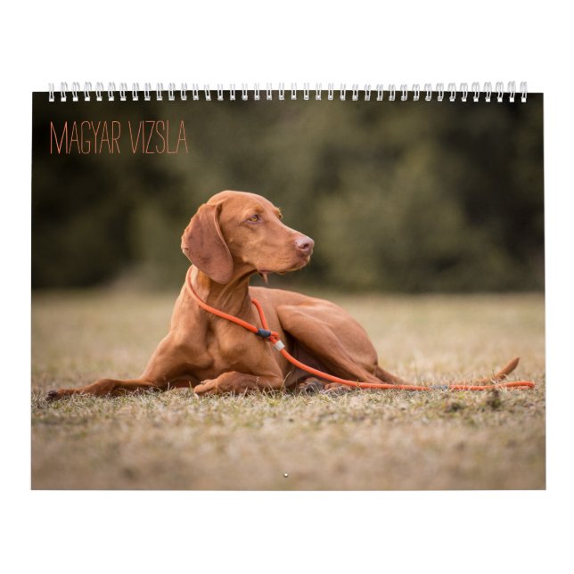 Magyar Vizsla Dogs Calendar (Cover)