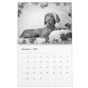 Magyar Vizsla Dogs Calendar black & white