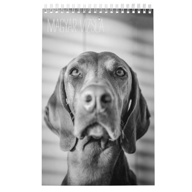 Magyar Vizsla Dogs Calendar black & white (Cover)