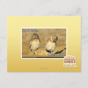 Mah brothah postcard