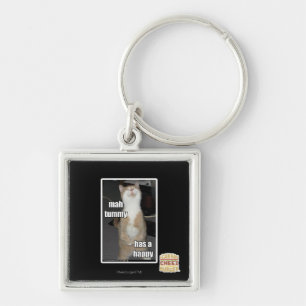 Mah tummy has a happy key ring