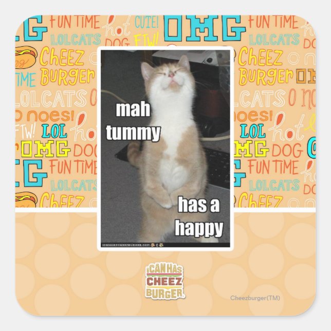 Mah tummy has a happy square sticker (Front)