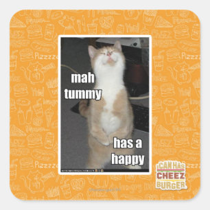 Mah tummy has a happy square sticker