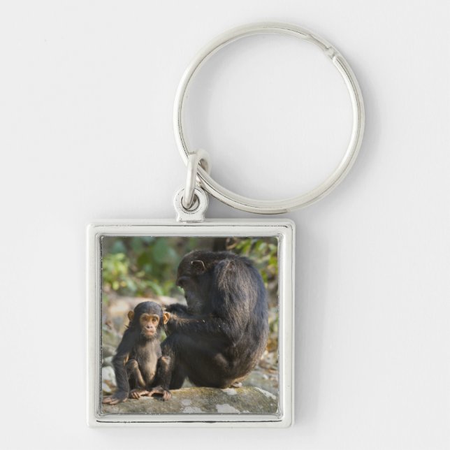 Mahale Mountains National Park, Tanzania Key Ring (Front)