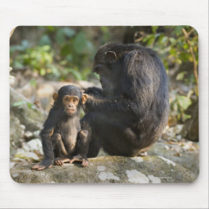 Mahale Mountains National Park, Tanzania Mouse Mat