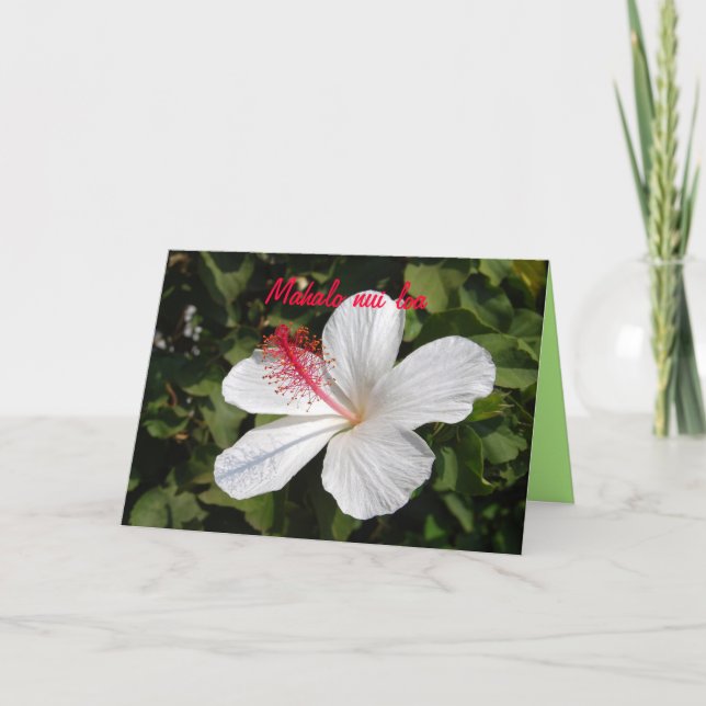 Mahalo Hawaiian White Hibiscus Thank You Card (Front)