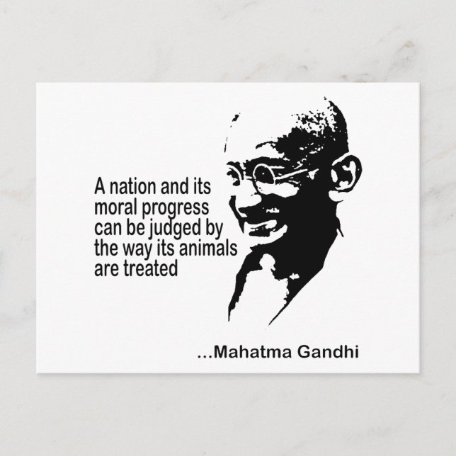 Mahatma Gandhi Animal Rights Postcard (Front)