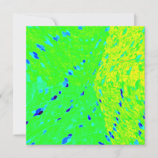 Mahi Mahi Dolphin Fish Art Colours