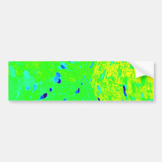 Mahi Mahi Dolphin Fish Art Colours Bumper Sticker