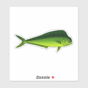 Mahi Mahi - Dolphin Fish - Dorado