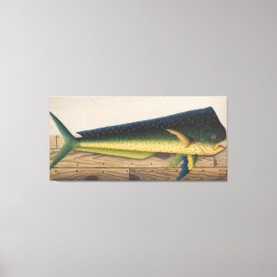 Mahi-Mahi Fish artwork Canvas Print