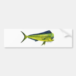 Mahi Mahi fish bumper sticker