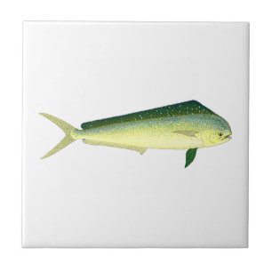 Mahi Mahi Tile