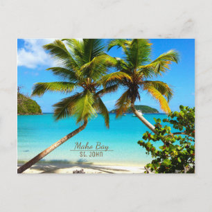Maho Bay Beach St. John Postcard