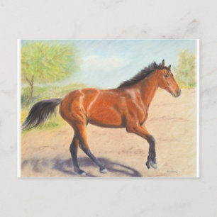 Mahogany Bay Horse Pastel Postcard