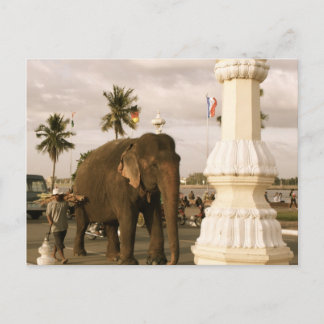Mahout and Elephant Postcard