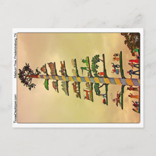 Maibaum Tree, Fredericksburg, TX Postcard
