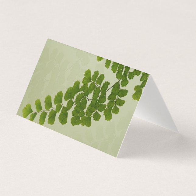 Maiden Hair Fern Frond (Front)