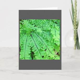 Maidenhair Fern Blank Note Card