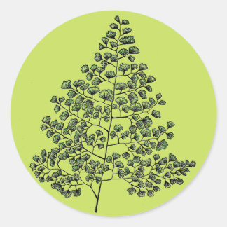 Maidenhair Fern Classic Round Sticker