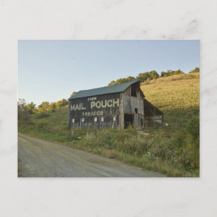 Mail Pouch Barn in Stark County, Ohio Postcard