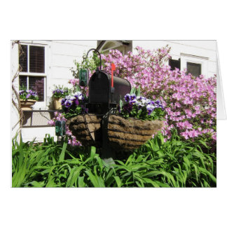 Mailbox among the Flowers--Card