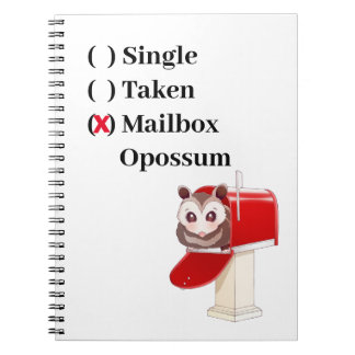 Mailbox Opossum Notebook