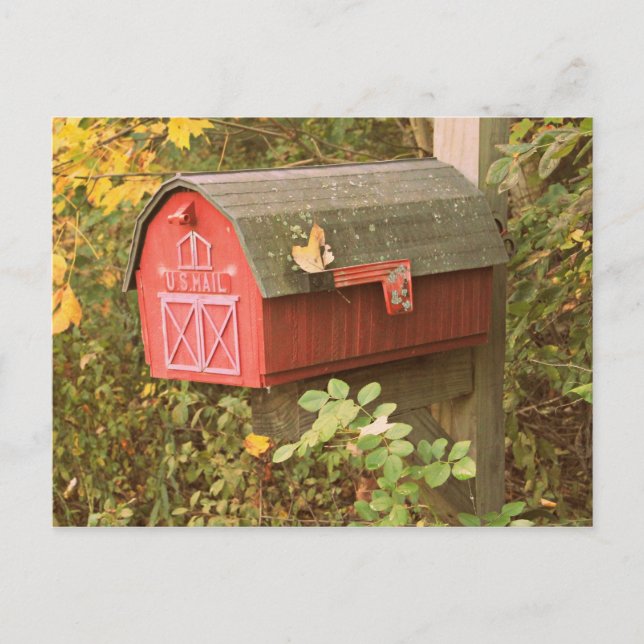 Mailbox Postcard (Front)