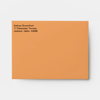 Mailing Designer Sandy Brown Envelopes