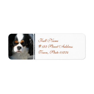 Mailing Label-2 - Customised