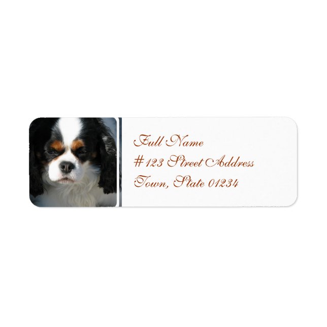 Mailing Label-2 - Customised (Front)