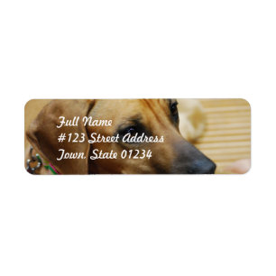 Mailing Label Template 2 - Customised