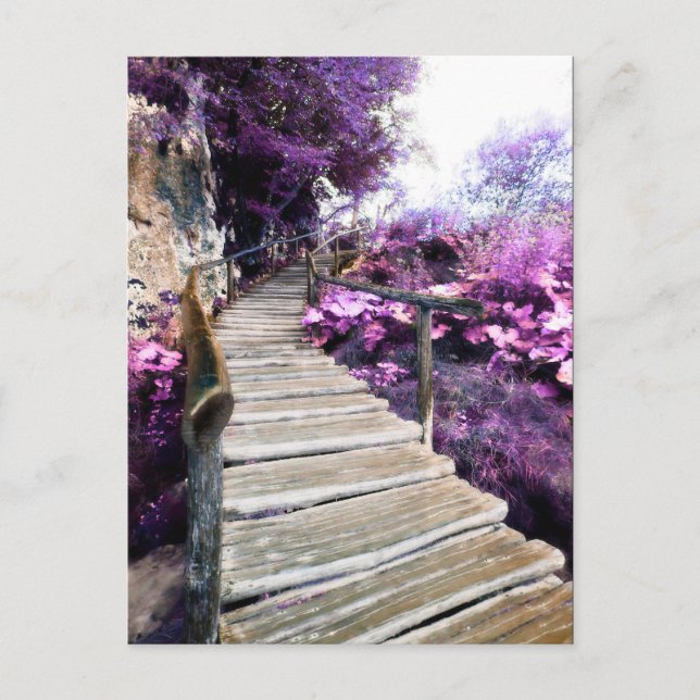 mailing list comment card wisteria stairs (Front)