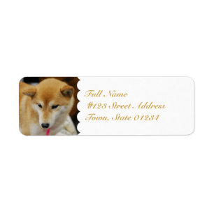 MailingLabel-5 - Customised