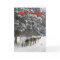 Mailman Christmas Card