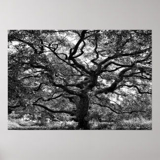 Main Artery Poster