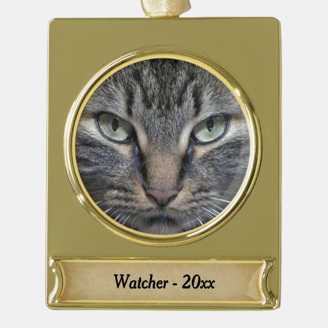 Main Coon Cat Eyes Gold Name and Year Plated Banner Ornament (Front)