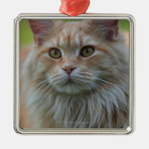 Main coon cat metal tree decoration