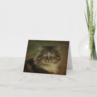 Main Coon Cat Notecard