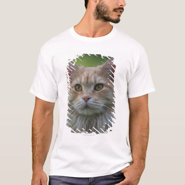 Main coon cat T-Shirt (Front)