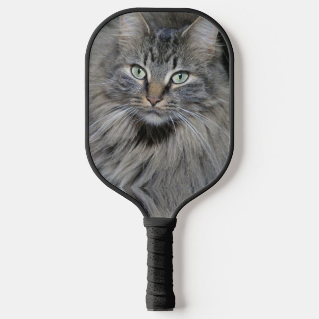 Main Coon Cats Eyes Pickleball Paddle (Front)
